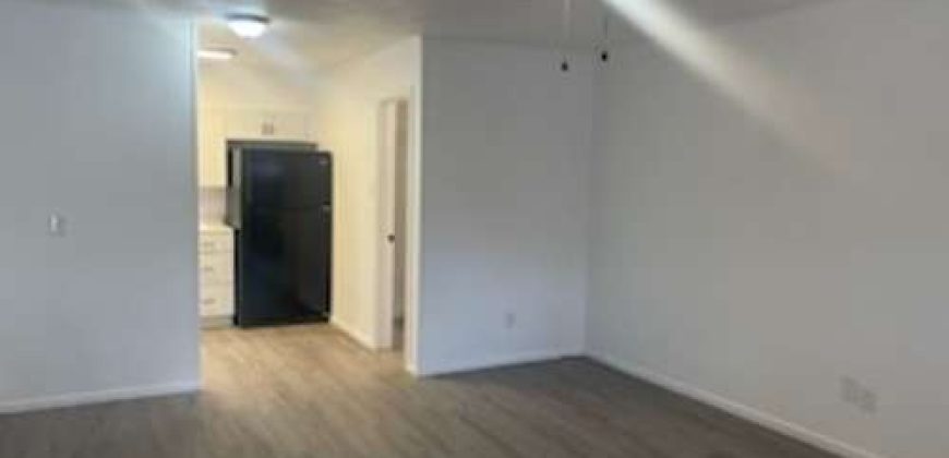 Cottage Point Apartments