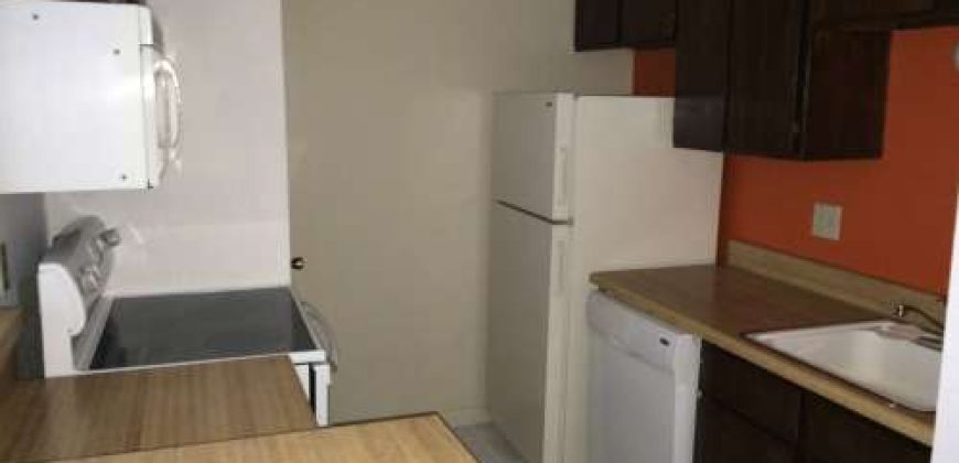College Station, 1 bedroom / 1 bath condo – Cripple Creek Condos