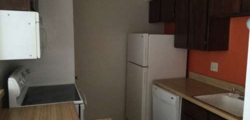 College Station, 1 bedroom / 1 bath condo – Cripple Creek Condos