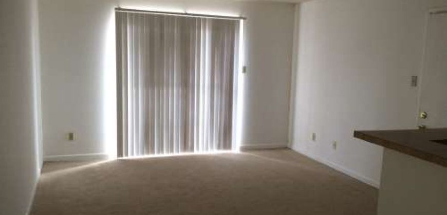 College Station, 1 bedroom / 1 bath condo – Cripple Creek Condos