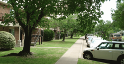 University Terrace