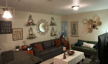 College Town at USF Apartments (Sublet)