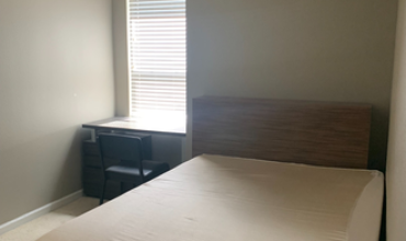 IQ Luxury Apartments
