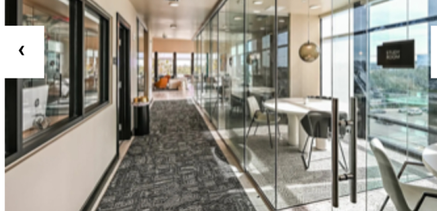 Park Place at Tampa Apartments