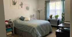Museum Walk Apartments