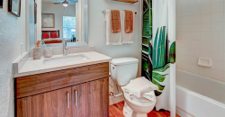University Club Apartments Sublet (Sublet / Shared Housing)