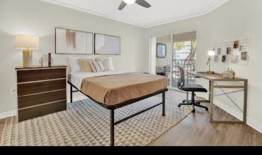 USF student apartment 2×2 (Sublet / Shared Housing)