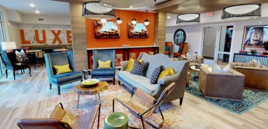 Luxe Belle | Student Housing