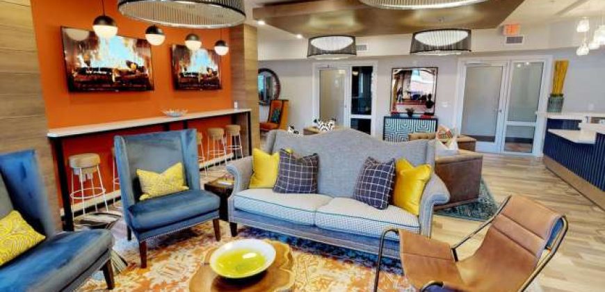 Luxe Belle | Student Housing