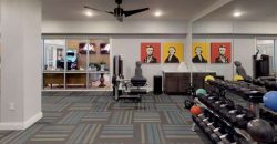 Luxe Belle | Student Housing