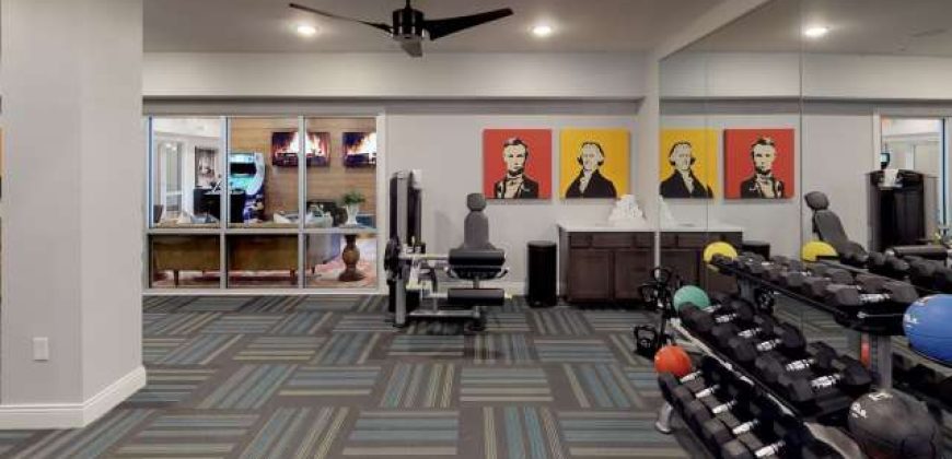 Luxe Belle | Student Housing