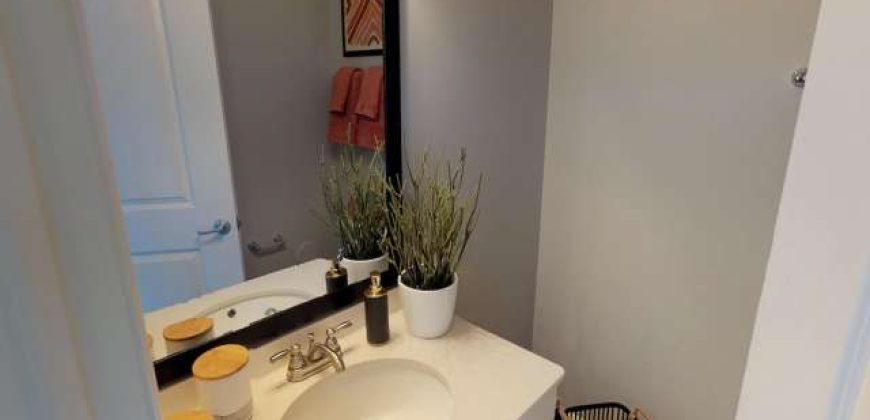 Luxe Belle | Student Housing