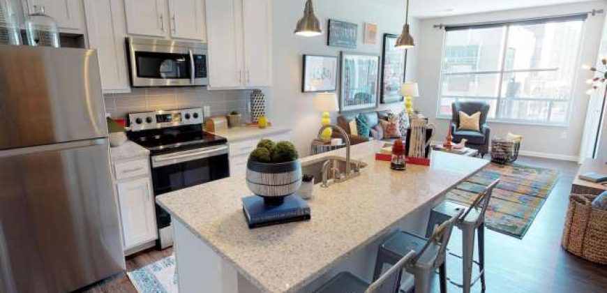 Luxe Belle | Student Housing