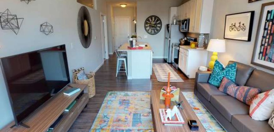 Luxe Belle | Student Housing