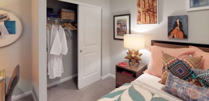 Luxe Belle | Student Housing