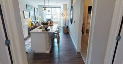 Luxe Belle | Student Housing