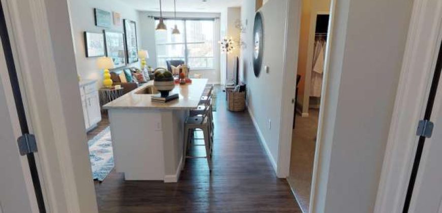 Luxe Belle | Student Housing