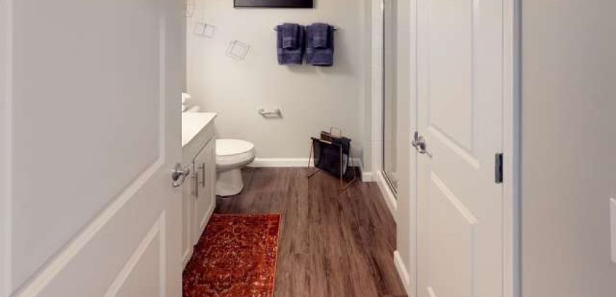 Luxe Belle | Student Housing