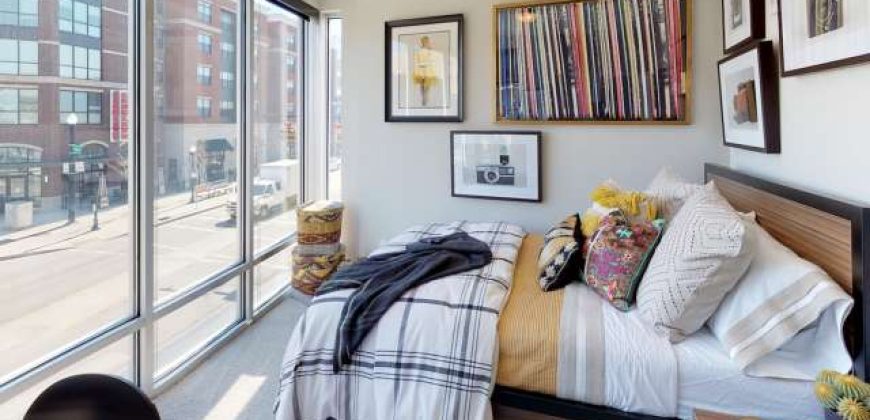 Luxe Belle | Student Housing