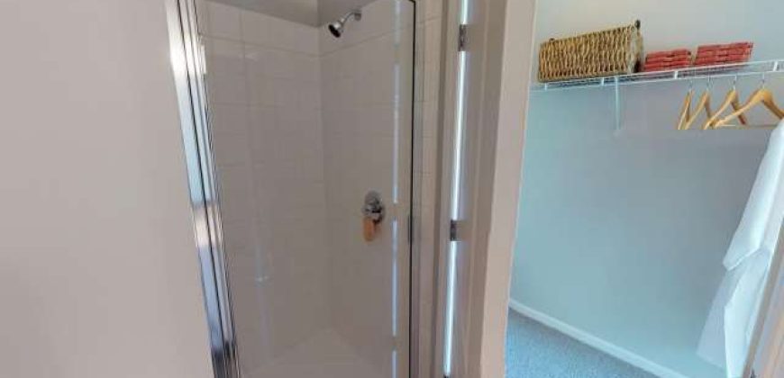 Luxe Belle | Student Housing