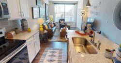 Luxe Belle | Student Housing