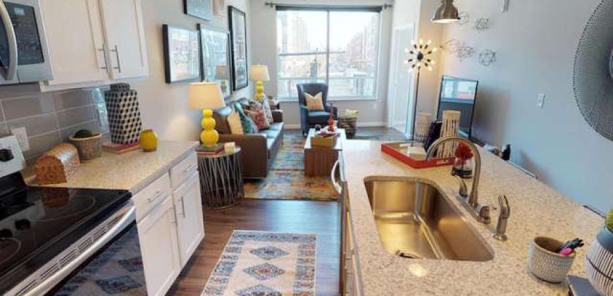 Luxe Belle | Student Housing