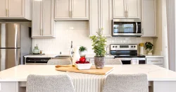 The Continental – Live Timelessly The Continental – Live Timelessly