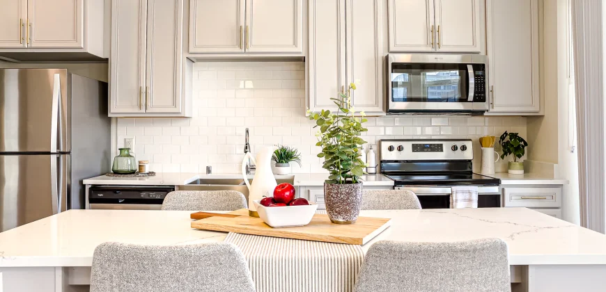 The Continental – Live Timelessly The Continental – Live Timelessly