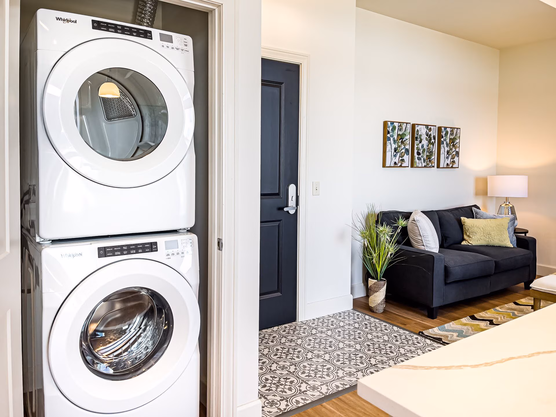 The Continental – Live Timelessly The Continental – Live Timelessly