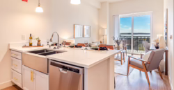 The Continental – Live Timelessly