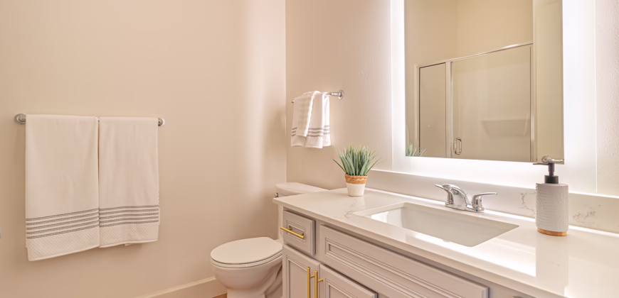 The Continental – Live Timelessly