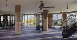 Vue of Parker Flatiron LSU